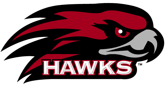 St. Joseph's Hawks 2001-Pres Alternate Logo v3 iron on transfers for T-shirts...